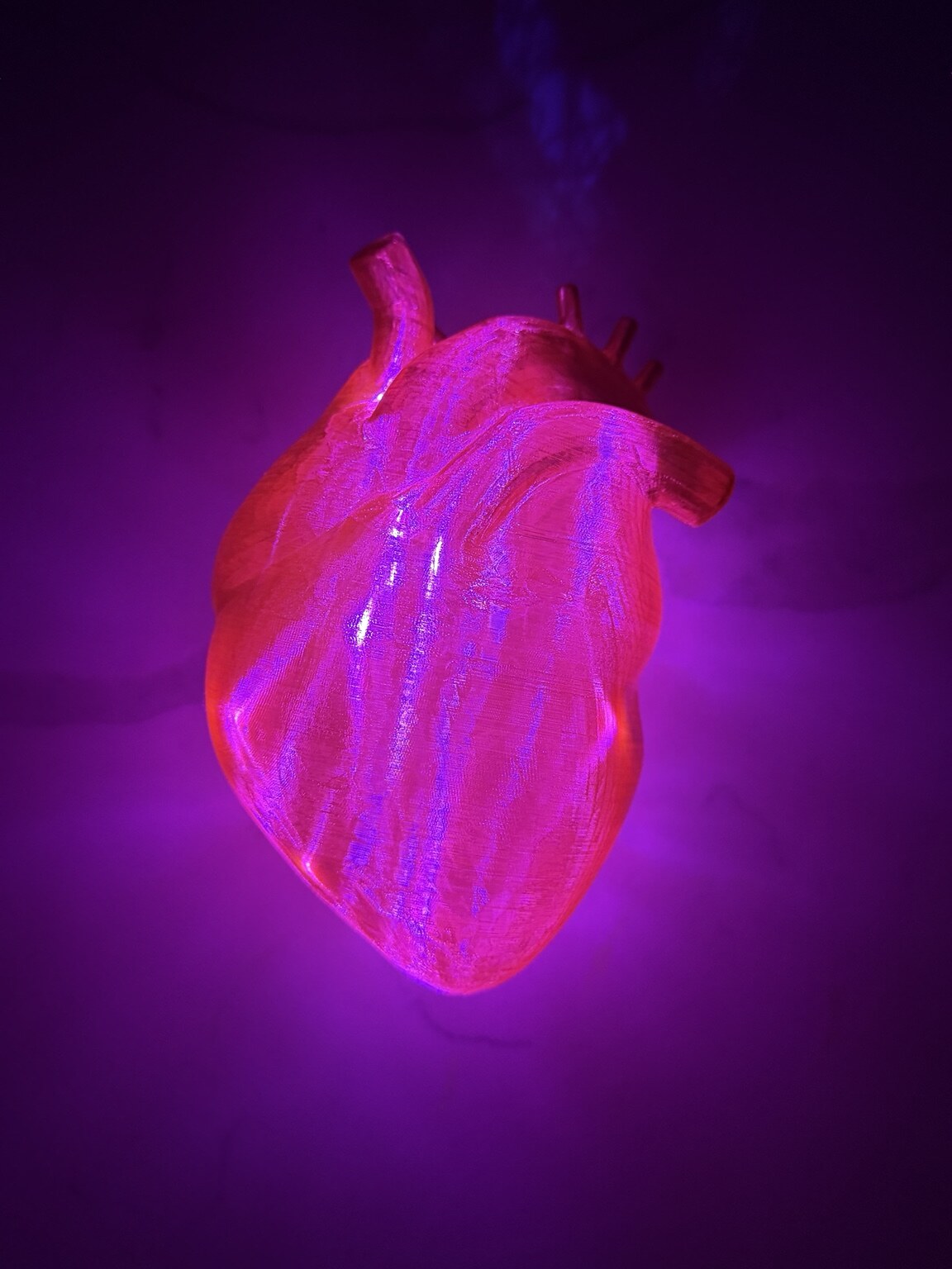Finished Gizato anatomical heart glowing inside a dark display