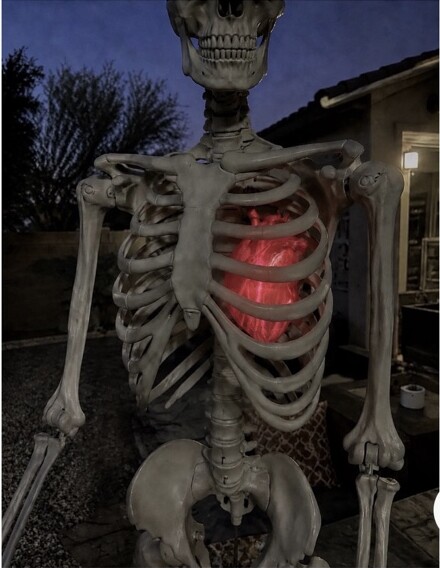 XL red illuminated anatomical heart installed inside a large skeleton display